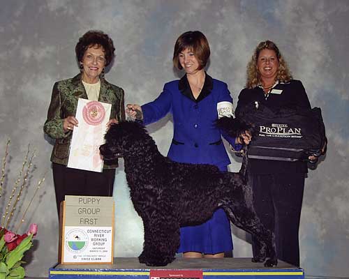 CH Pouch Cove's Bling It On "Bling"