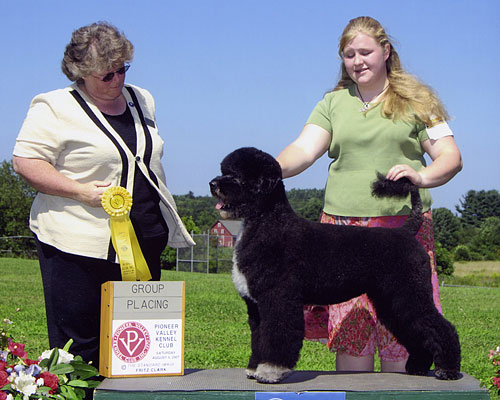 CH Pouch Cove's Britannia "Brita"
