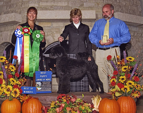 CH Pouch Cove Every Sailor's Dream "Chloe"