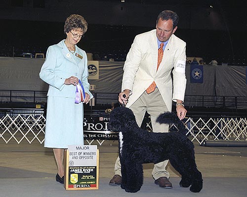 CH Pouch Cove's Go Go Girl "GoGo"