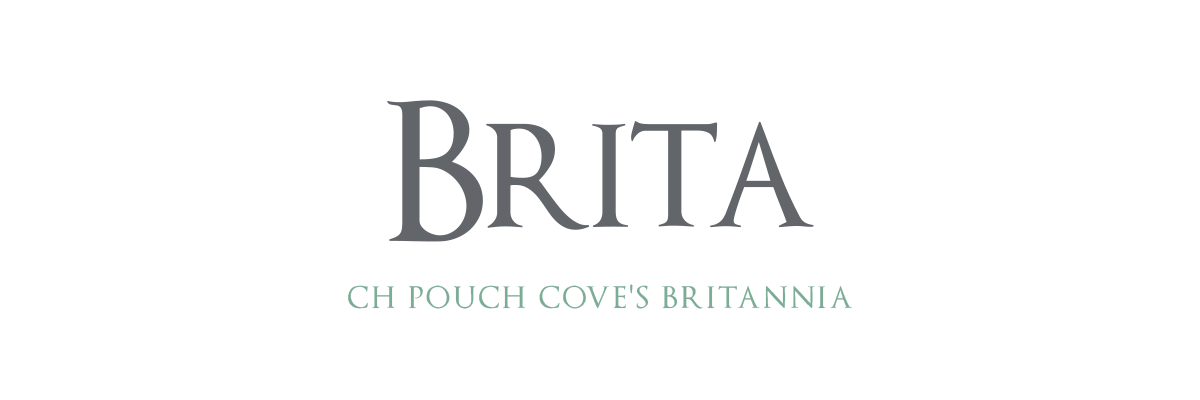 Brita