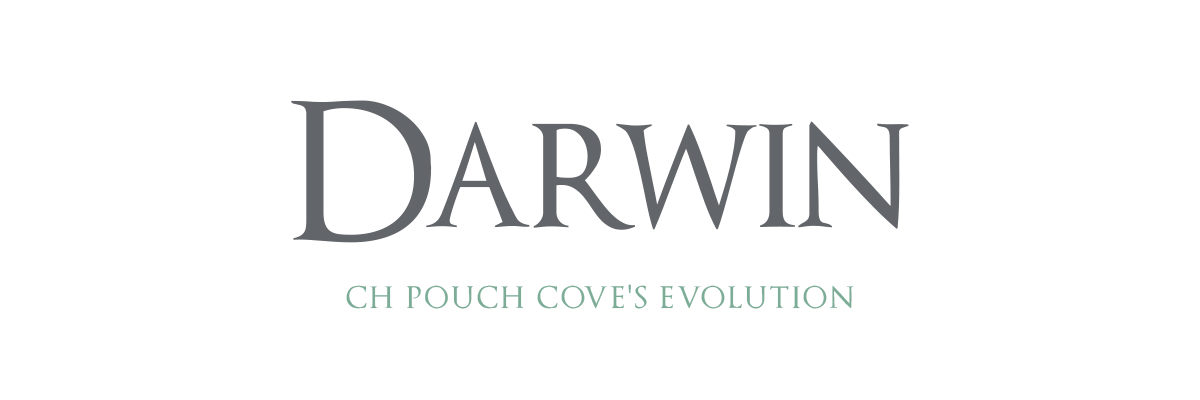 Darwin