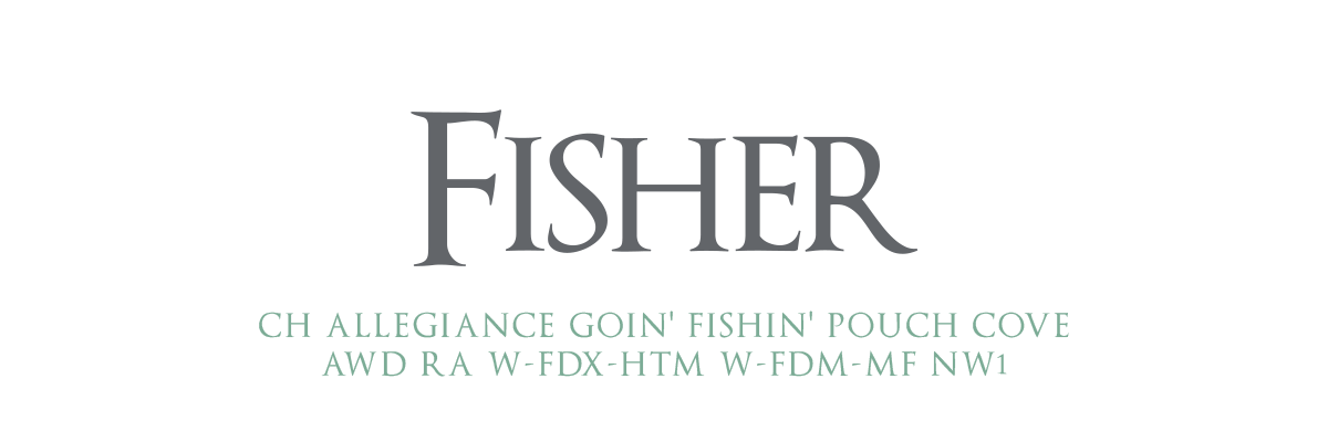 Fisher