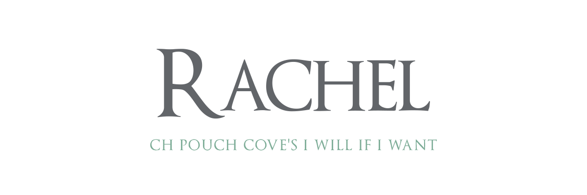 Rachel