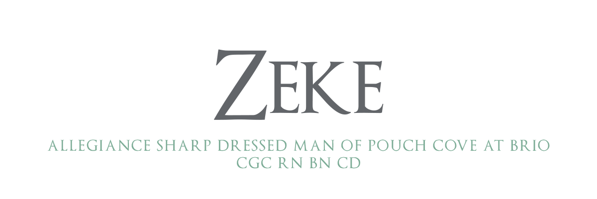 Zeke