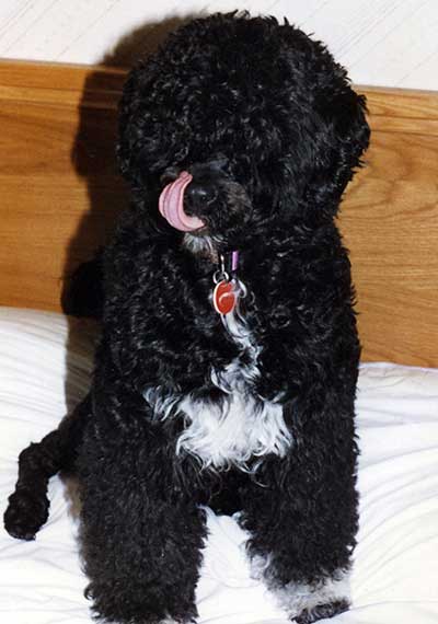 Sophie