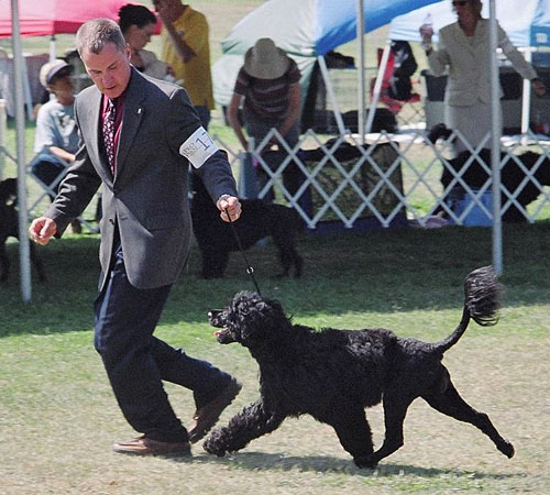 Willow moving at 2007 Specialty