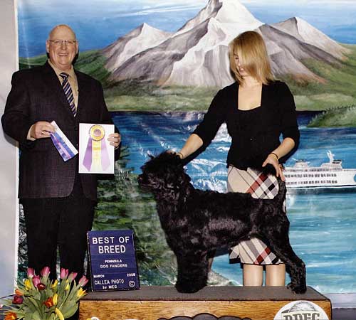 Willow going Best of Breed